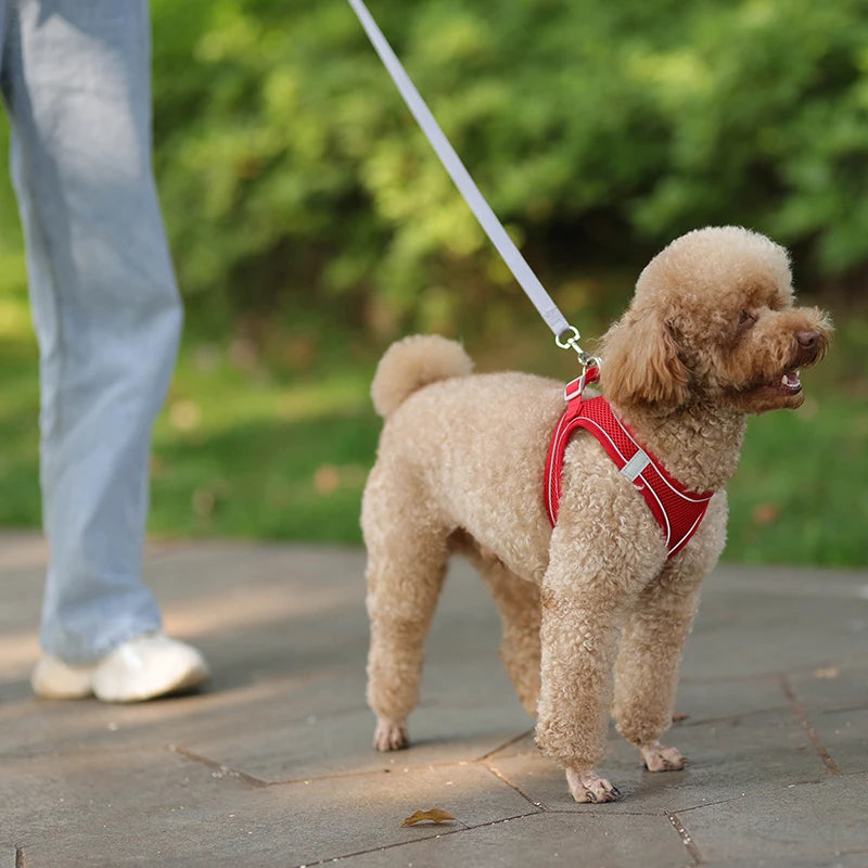 Adjustable Dog Harness & Leash Set – Comfortable Vest for Small Dogs & Cats – Ideal for Chihuahuas, Pugs, French Bulldogs & More
