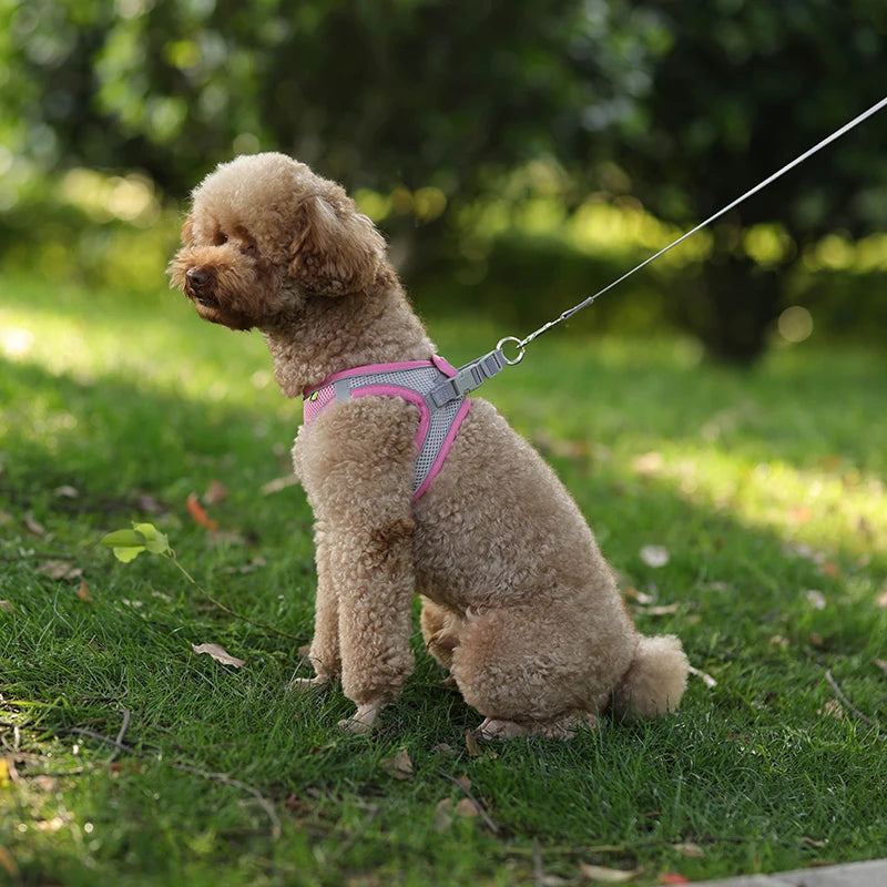 Adjustable Dog Harness & Leash Set – Comfortable Vest for Small Dogs & Cats – Ideal for Chihuahuas, Pugs, French Bulldogs & More