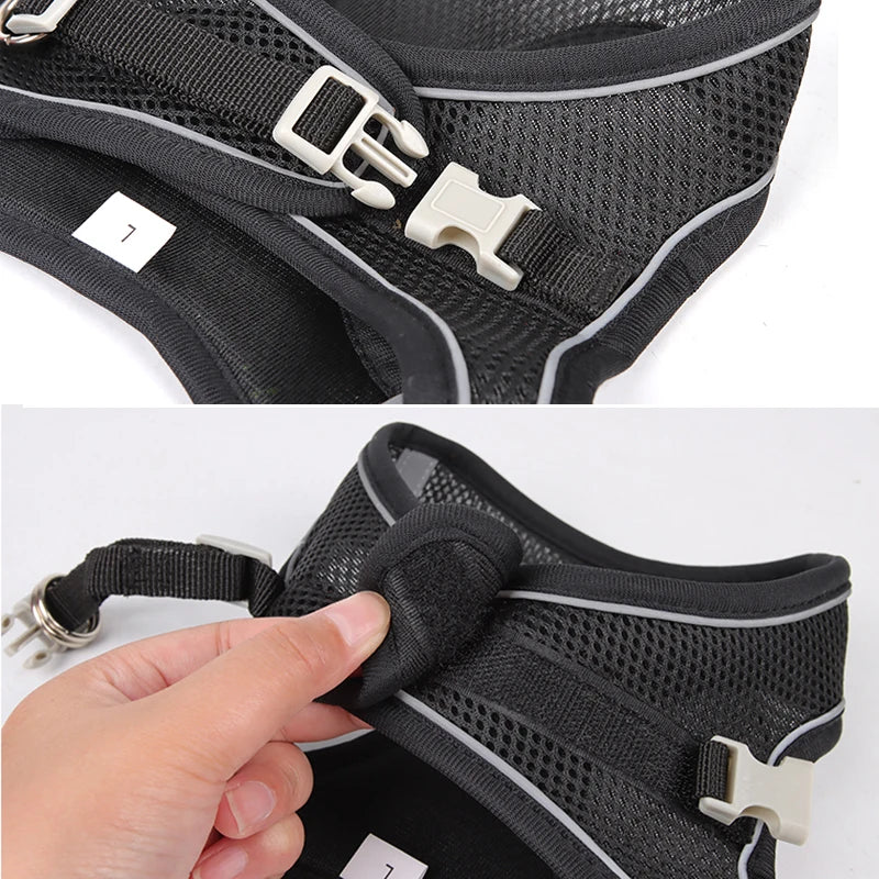 Adjustable Dog Harness & Leash Set – Comfortable Vest for Small Dogs & Cats – Ideal for Chihuahuas, Pugs, French Bulldogs & More