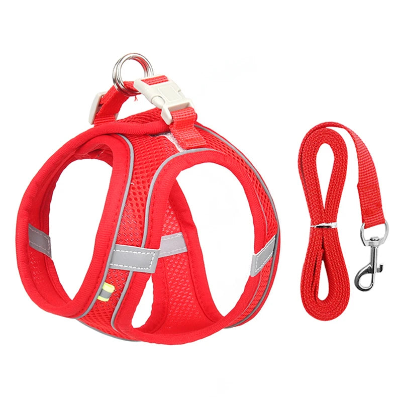 Adjustable Dog Harness & Leash Set – Comfortable Vest for Small Dogs & Cats – Ideal for Chihuahuas, Pugs, French Bulldogs & More
