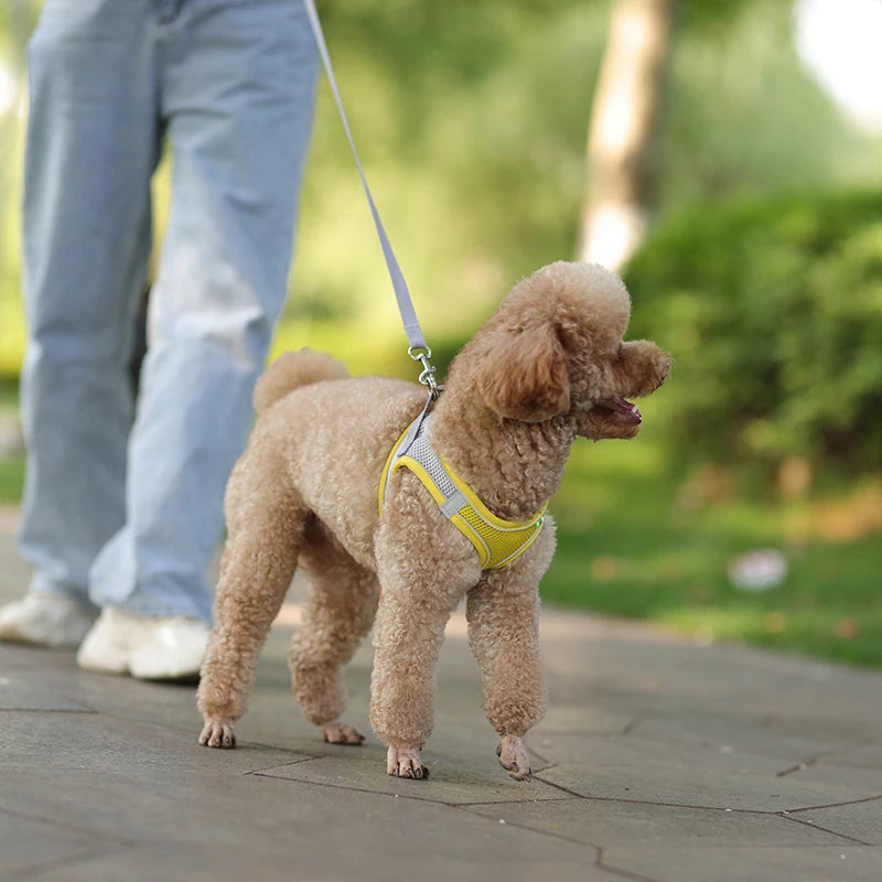 Adjustable Dog Harness & Leash Set – Comfortable Vest for Small Dogs & Cats – Ideal for Chihuahuas, Pugs, French Bulldogs & More