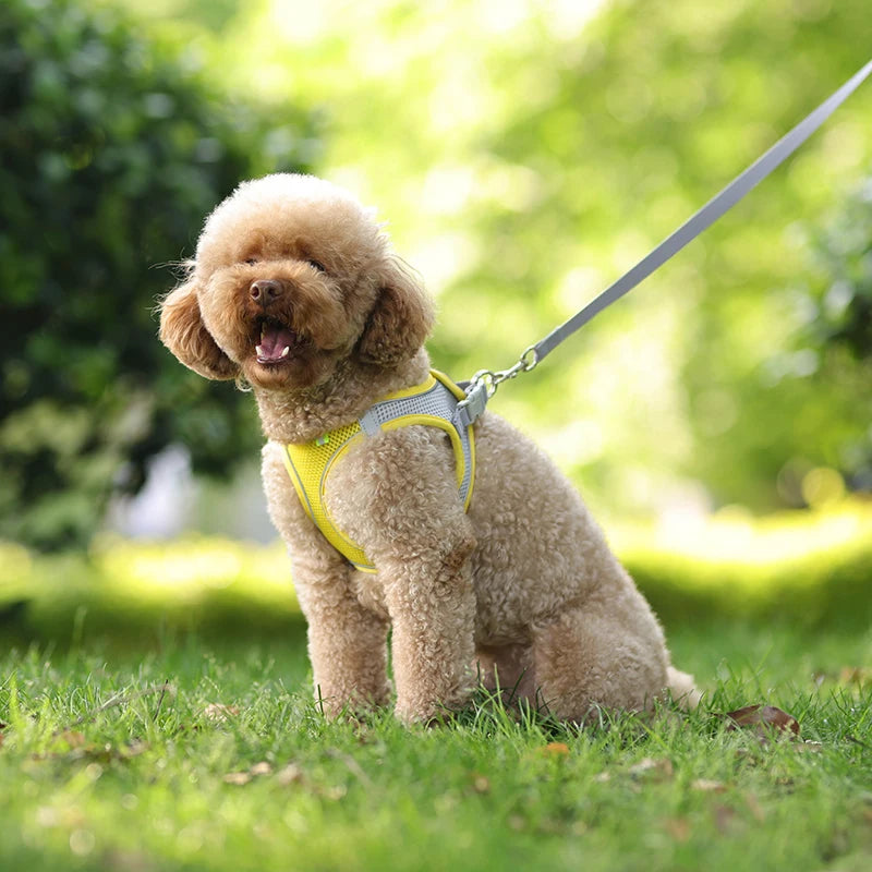 Adjustable Dog Harness & Leash Set – Comfortable Vest for Small Dogs & Cats – Ideal for Chihuahuas, Pugs, French Bulldogs & More