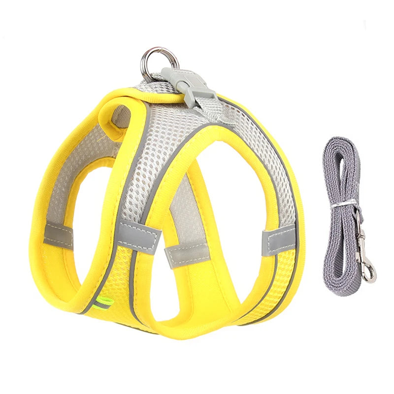Adjustable Dog Harness & Leash Set – Comfortable Vest for Small Dogs & Cats – Ideal for Chihuahuas, Pugs, French Bulldogs & More