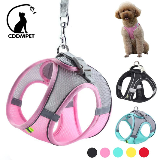 Adjustable Dog Harness & Leash Set – Comfortable Vest for Small Dogs & Cats – Ideal for Chihuahuas, Pugs, French Bulldogs & More